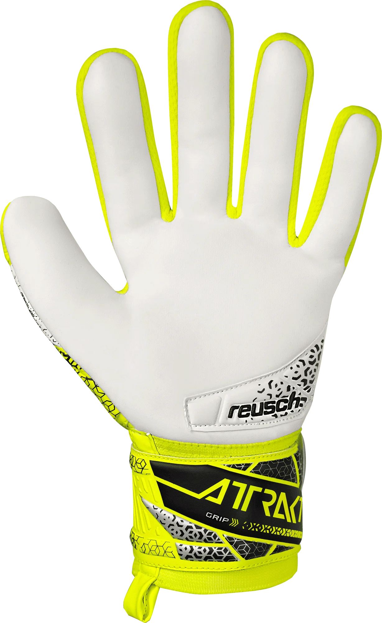 ReuschAttraktGrip557081520142014back